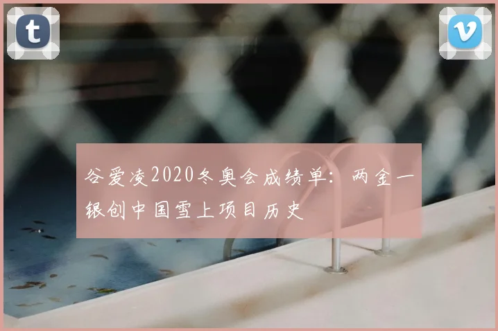 谷爱凌2020冬奥会成绩单：两金一银创中国雪上项目历史