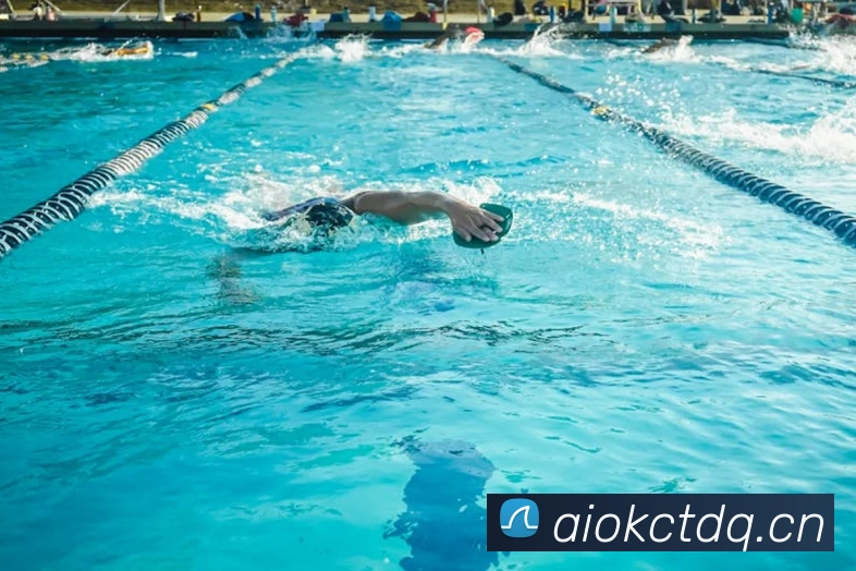 星空网官网首页入口平台生态图