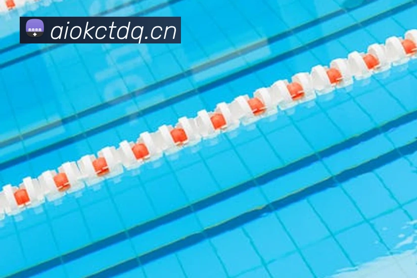 星空网官网首页入口全站App